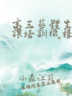 高三艺体生文化课培训机构