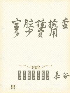 宫腔镜检查需要多少费用