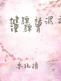 健脾 祛湿 调理 脾胃