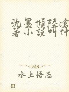 沈墨倾陆沧鸣原著小说叫什么