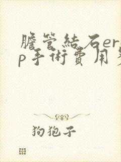 胆管结石ercp手术费用多少钱一次