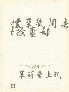 怀孕几周去做nt检查好