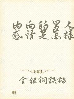 内向的男人对待感情是怎样的