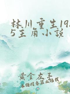 林川重生1985主角小说