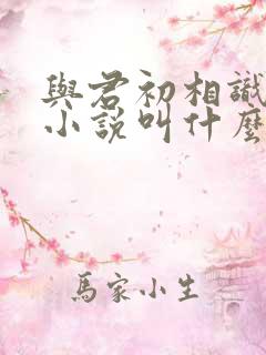 与君初相识原著小说叫什么