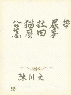 公猫拉尿带血是怎么回事