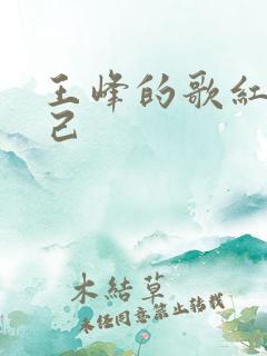 王峰的歌红颜知己