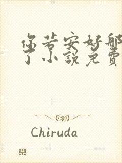 你若安好那还得了小说免费阅读