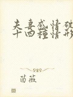 夫妻感情破裂的十四种情形