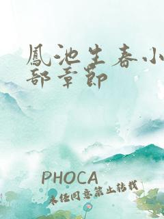 凤池生春小说全部章节