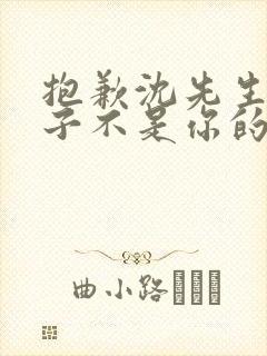 抱歉沈先生,孩子不是你的短剧免费