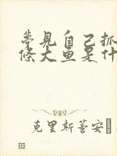 梦见自己抓了两条大鱼是什么征兆