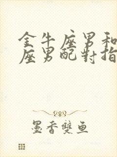 金牛座男和处女座男配对指数