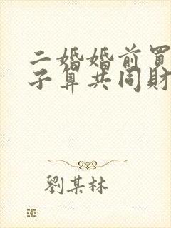 二婚婚前买的房子算共同财产吗