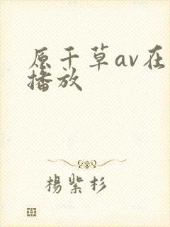 原千草av在线播放