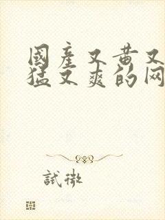 国产又黄又粗又猛又爽的网址