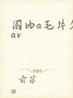 国内a毛片久久av