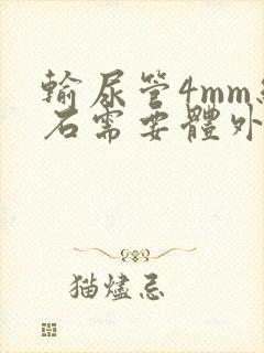 输尿管4mm结石需要体外碎石吗?