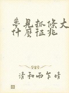 梦见抓条大鱼是什么征兆