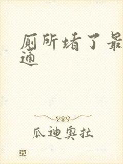 厕所堵了最快疏通