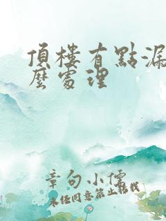 顶楼有点漏水怎么处理