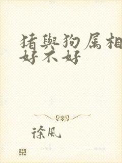 猪与狗属相婚配好不好