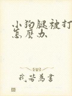 小狗腿被打瘸了怎么办