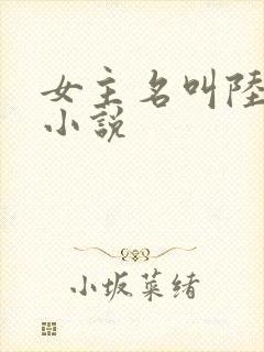 女主名叫陆晚的小说