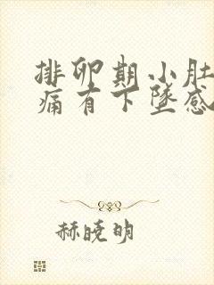 排卵期小肚子疼痛有下坠感怎么办