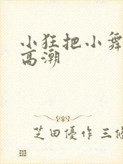 小狂把小舞操到高潮