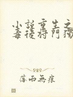 小说重生之将门毒后将门独后下载全文