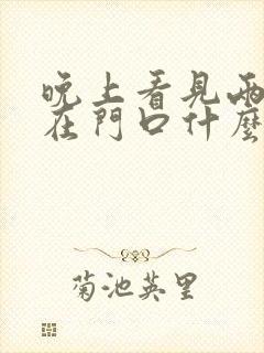 晚上看见两条蛇在门口什么预兆呢