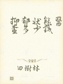 抑郁状态医院检查多少钱