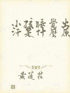 小孩睡觉出很多汗是什么原因