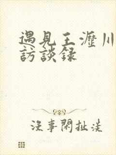 遇见王沥川导演访谈录