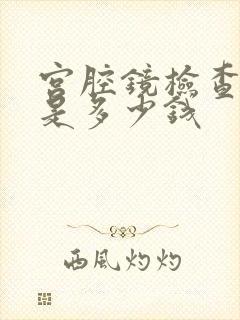 宫腔镜检查费用是多少钱