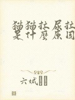 猫猫拉尿拉出血是什么原因