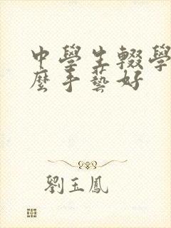 中学生辍学学什么手艺好