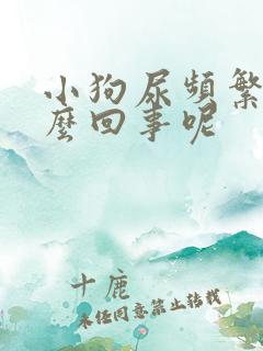 小狗尿频繁是怎么回事呢