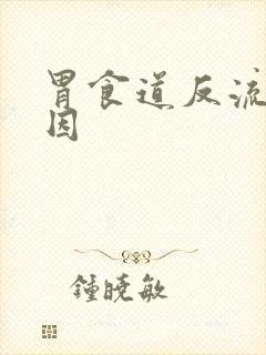 胃食道反流啥原因