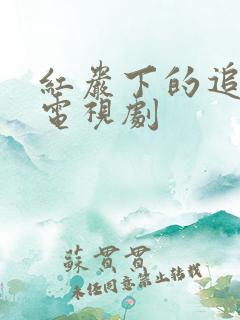 红岩下的追捕 电视剧