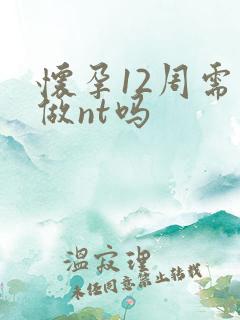 怀孕12周需要做nt吗