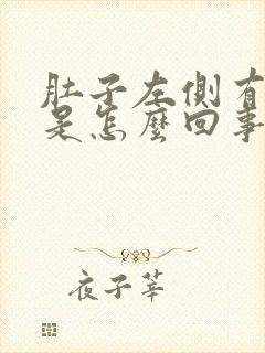 肚子左侧有点胀是怎么回事