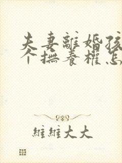 夫妻离婚孩子两个抚养权怎么判定