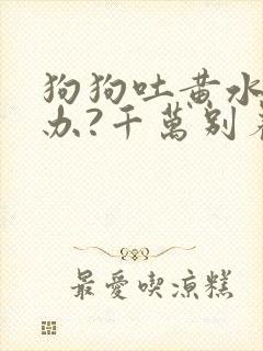 狗狗吐黄水怎么办?千万别着急