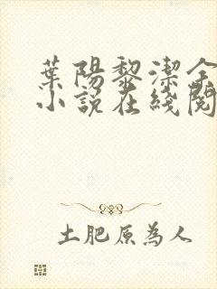 叶阳黎洁余秋水小说在线阅读