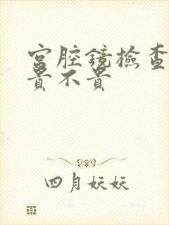 宫腔镜检查费用贵不贵