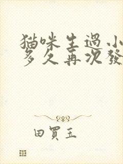 猫咪生过小猫后多久再次发情