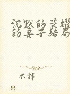 沉默的荣耀聂曦的妻子结局