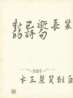 对已逝长辈思念的诗句